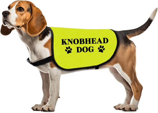 Funny Knobhead Dog Jacket Knobhead Dog Slogan Vest Social Distancing Gift Nervous Dogs Gift (KNOBHEAD Dog-Medium)