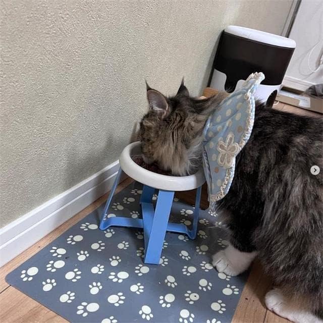 Ceramic Cat Bowl,Small Dog Bowl