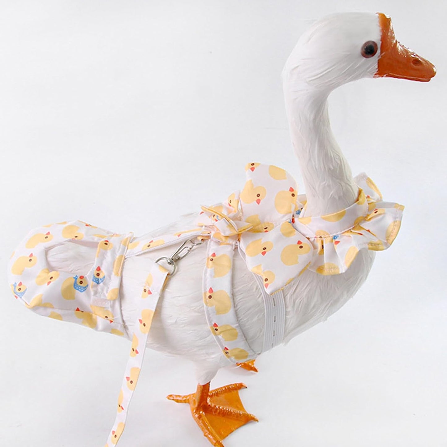 Double Pack Washable Pet Diaper with Strap Themed Leash Comforatable Scratch Proof Fabric for Training Potty Training