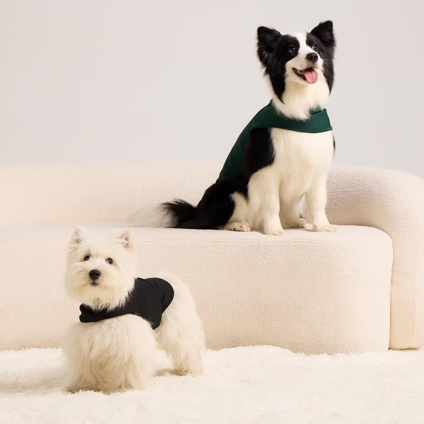 MIGOHI Dog Anxiety Vests for Small Dogs, Calming Hoodie for Fireworks,Noise,Comfort Vests for Anxiety, Wrap Ears to Relief Anxious, New Places, Social Stress, Xs,Black