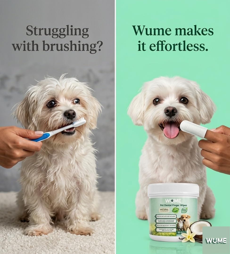 WUME Pet Dental Finger Wipes for Dogs & Cats Vet-Inspired Teeth Cleaning Wipes, Toothbrush Alternative, Gentle, Alcohol-Free, Disposable, 50 Counts