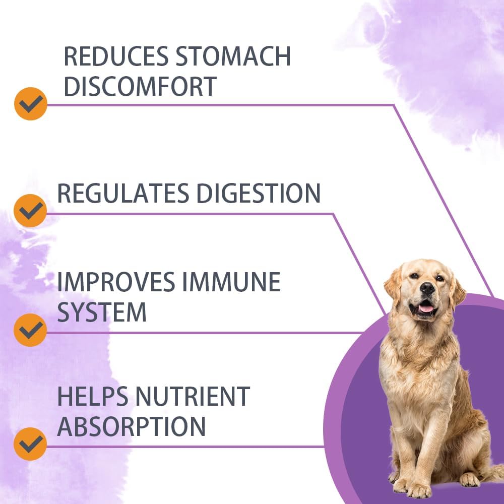 Probiotics for Dogs Chews, Duck Flavor - Supports Gut Health, Digestive Balance & Seasonal Allergy Relief & Itchy Skin Relief - Prebiotic & Probiotic Soft Chews(120 Count) (Duck)