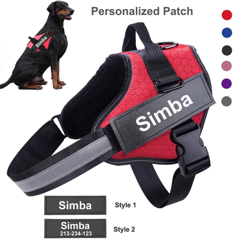 HOTGOL Personalized Dog Harness, Custom No Pull Pet Vest with Name and Phone Number to Prevent Tugging, Pulling, or Choking, Training and Walking(Blue,M)