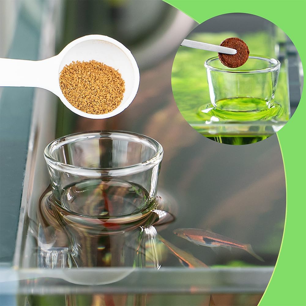 LINLAN 9.84 Inch Glass Shrimp Feeder, Aquarium Feeding Tube and Square Bowl with Two Suction Cups to Prevent Food from Spreading, for Crystal Shrimp and Cherry Shrimp