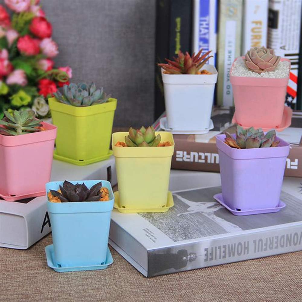 Haawooky 24 Pack Colorful Flower Pots Square Plastic Plant Pots Succulent Planter Nursery Pots with Saucers for Your Room,Garden Office and Balcony Decor