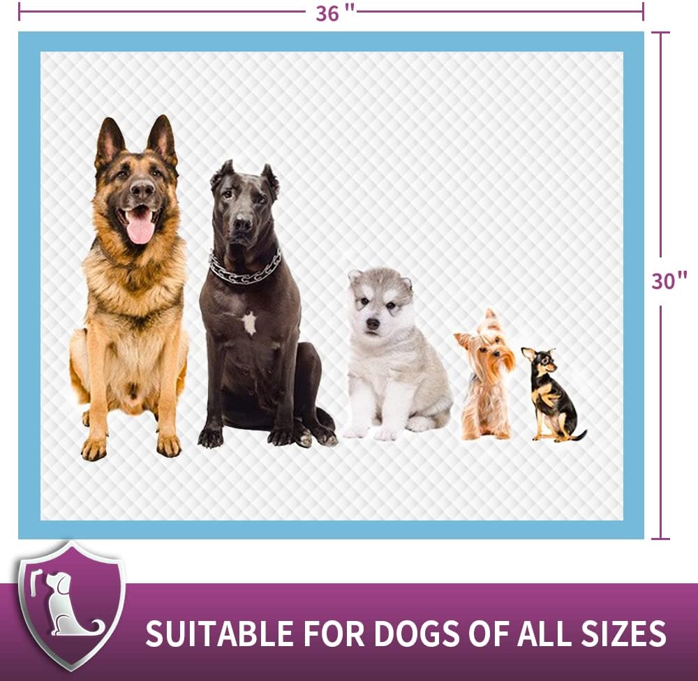 IMMCUTE Dog Pee Pads Extra Large, 30 x 36, 30 Ct, XXL Puppy Pads, Pee Pads for Dogs, Super Absorbent & Leak-Proof Pee Pads, Disposable Potty Pads for Dogs | Puppies | Doggie | Cats | Rabbits