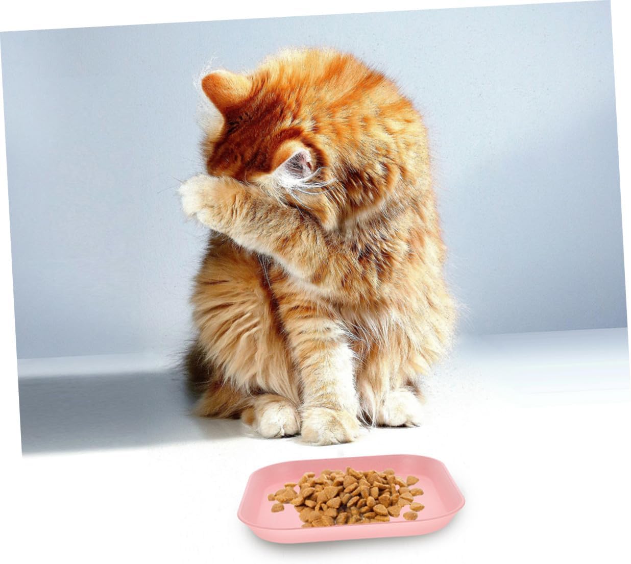 PRETYZOOM 8pcs Shallow Square Cat Food Bowls Kitten Wet Food Plates Small Indoor Pet Feeding Dishes Assorted Colors