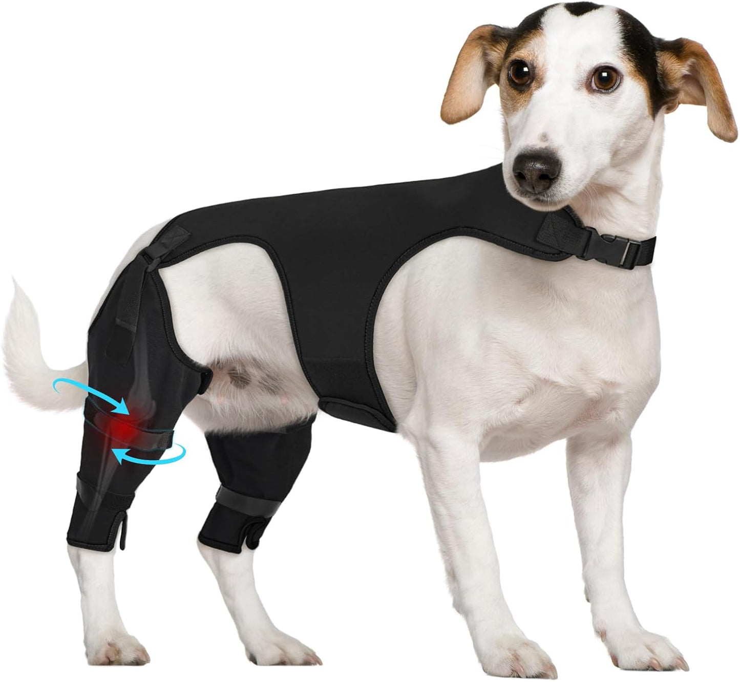 Supet Dog Rear Leg Sleeve to Stop Licking- Potty-Friendly for TPLO ACL Surgery Leg Injuries, Chew Resistant Washable Recovery Sleeve, for Male and Female Pets(Black,2XL)