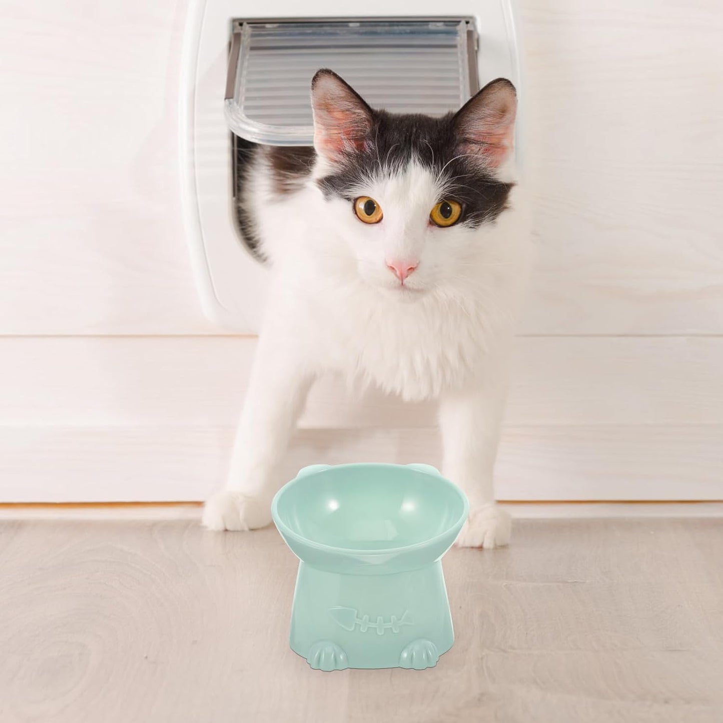 Milisten Raised Tilted Cat Food Bowl with Neck Guard 6cm Elevated Blue Pet Feeder for Indoor Cats Anti-Spill Raised Food Bowl and Small Dogs