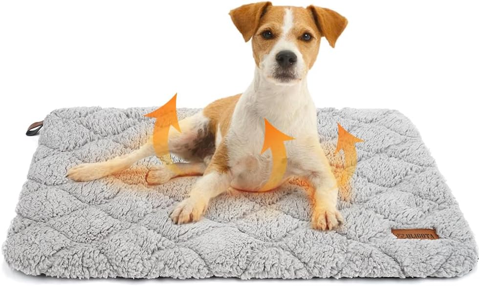 셀프 워밍 고양이 침대 자체 가열 고양이 강아지 매트 61 x 45.7cm(24 x 18인치) 부드럽고 푹신한 고양이 침대 무소음 보온 반려동물 패드, 탈착식 커버 포함, 미끄럼 방지 바닥 (길이 73.5cm x 너비 47.9cm x 높이 3.5cm)