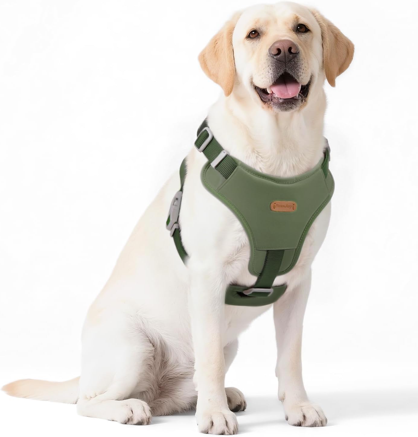 Xlife Dog Harness for Large Dogs - No-Pull Adjustable Vest Harness with 3D Air Cushion, Safety Buckle & No-Chock D Ring, Easy to Put On - Comfortable & Breathable for Easy Walking (Green L)