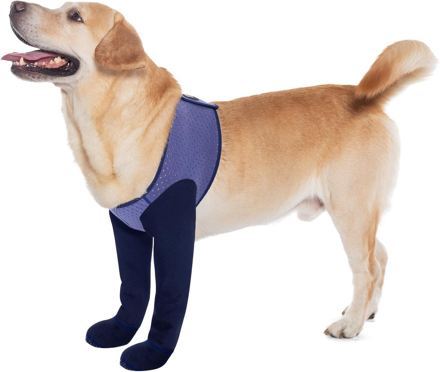 COODEO Dog Socks & Paw Protectors - Front Paws Only, Non-Slip Waterproof Dog Boots to Prevent Paw Licking, Protect Wounds & Aids Post-Surgery Recovery (Purple, L)
