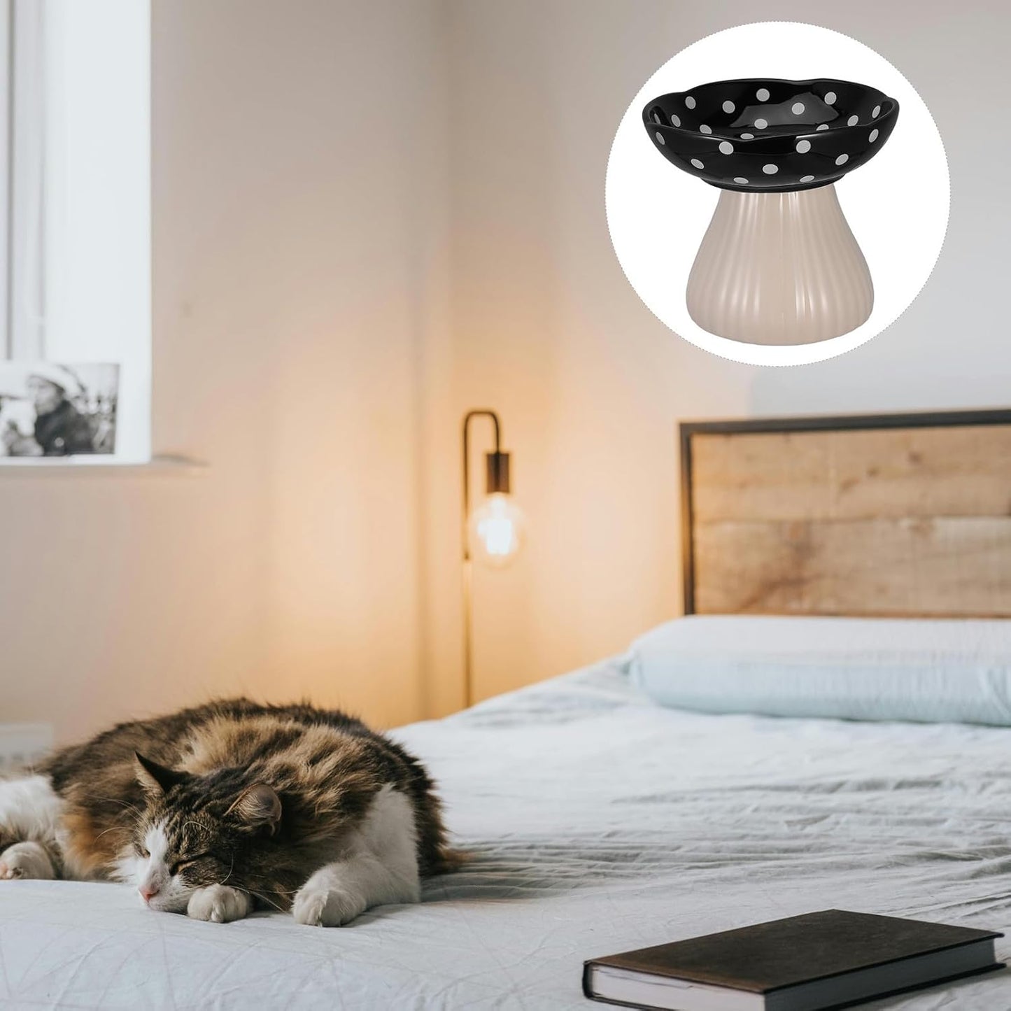 PRETYZOOM Elevated Cat Feeding Bowl and Raised Water Dish Ceramic Pet Bowl Wide Shallow Design with Black Mushroom Stand for Small Dogs and Indoor Cats