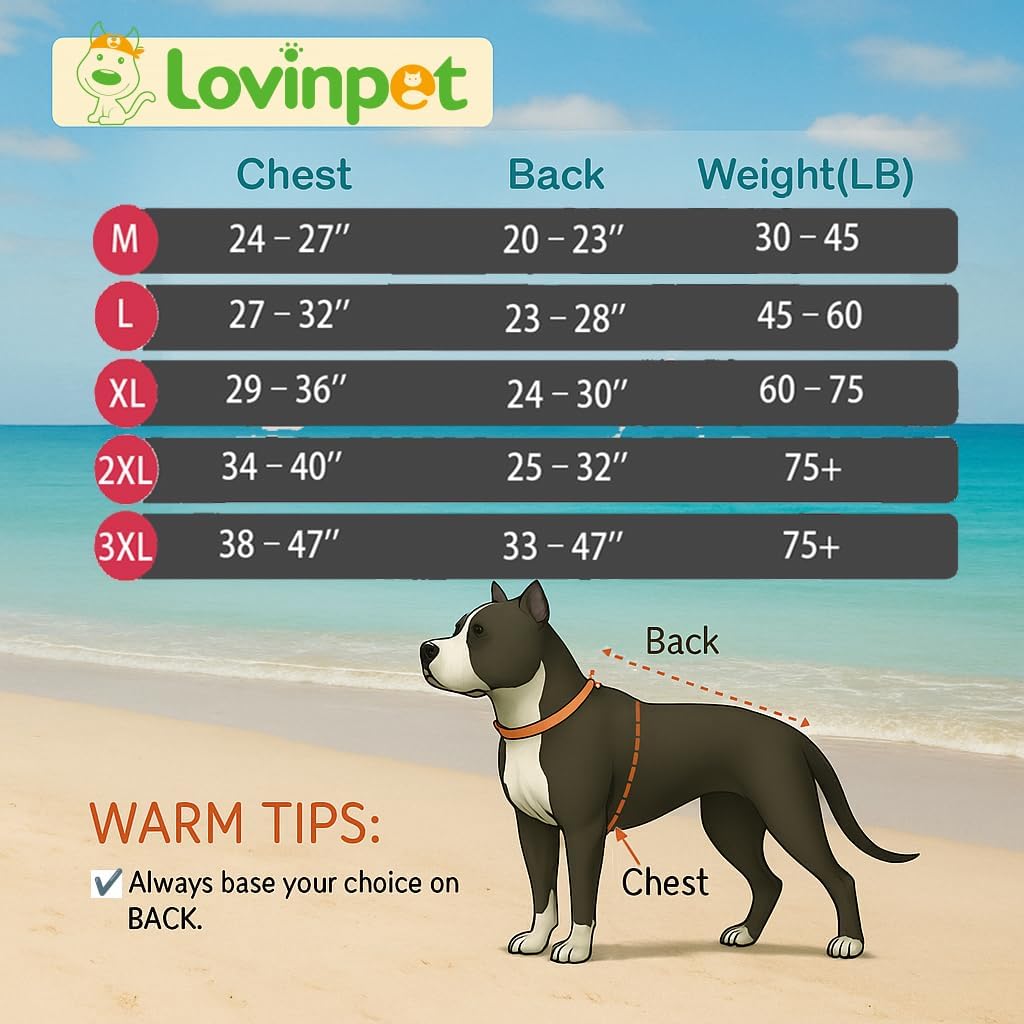 LovinPet Dog Recovery Suit - Medium Large - After Surgery Big Dog Recovery Suit Anti Licking Abdominal Wound Surgical Clothes Post-Operative Vest E-Collar Alternative Recovery Shirt,Blue,XXL