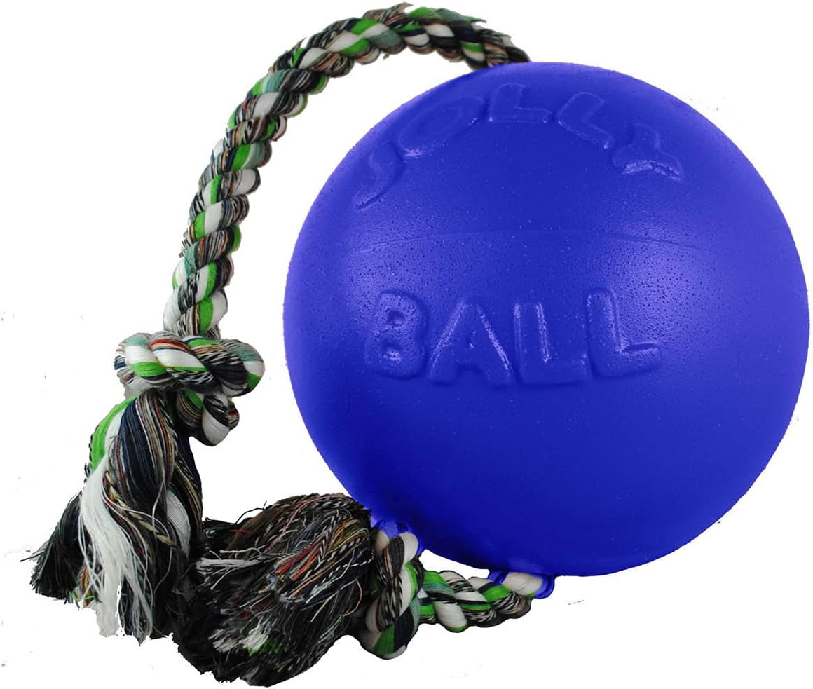 Jolly Pets Romp-n-Roll Dog Toy, Orange, 6", Model Number: 788169060645