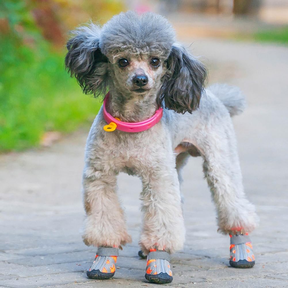 Dog Shoes for Small Medium Dogs,Dog Boots & Paw Protectors for Hot Pavement and Winter Snow,Anti-Slip Rubber Dog Booties for Outdoor Walking and Indoor Hardfloors(orange-size 5)