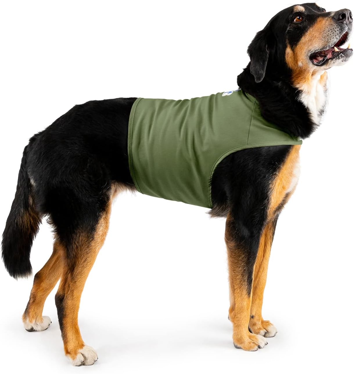 Dog Anxiety Calming Wrap, Large, Cypress