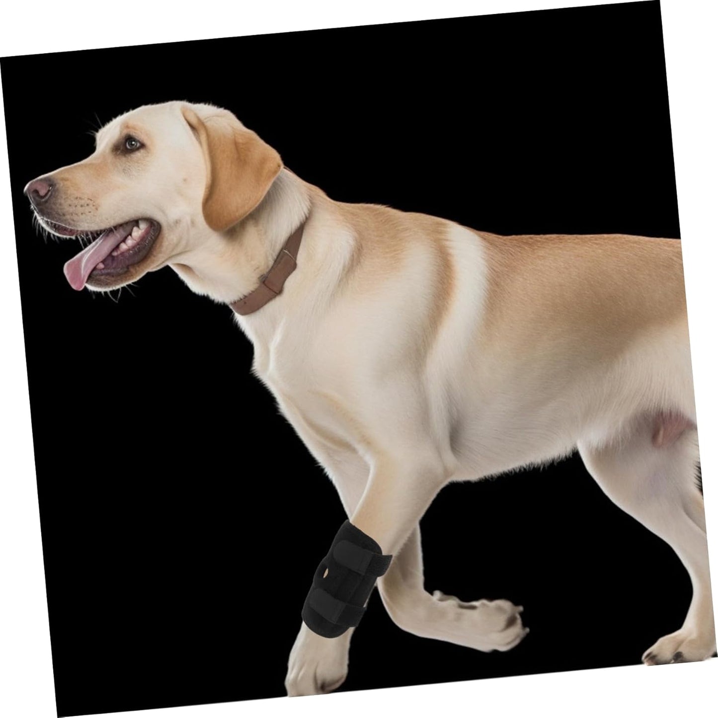 PRETYZOOM Knee Pad for Dogs Adjustable Leg Cover Breathable Neoprene Dog Leg Guard Pet Knee Brace for Large Dogs Joint