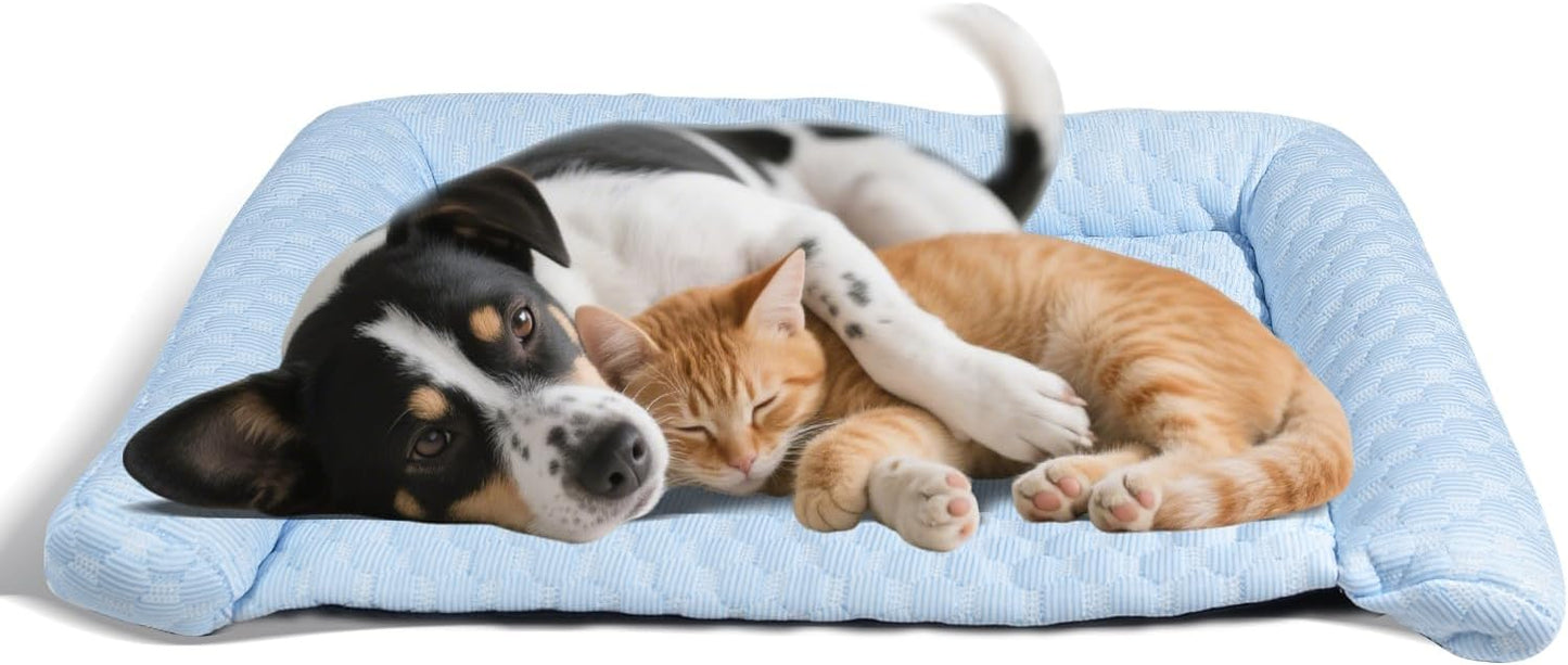 Dog Mat - Thicken Pad for Small Dog & Cat, Ultra-Comfortable & Machine Washable | Foldable Design Mat for Dogs, Crates & Indoor Use (Blue, 24''*14'')