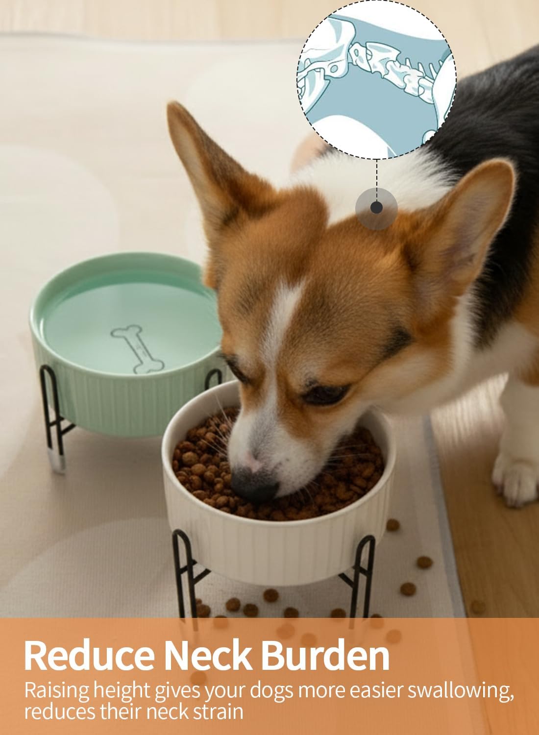 TAMAYKIM 32 oz Ceramic Dog Cat Bowl with Separate Elevated Metal Stand, 3 Adjustable Height 4 Cups Porcelain Pet Feeder Food & Water Bowls Set Non-Slip for Big Cats, Small Medium Dogs, White & Green