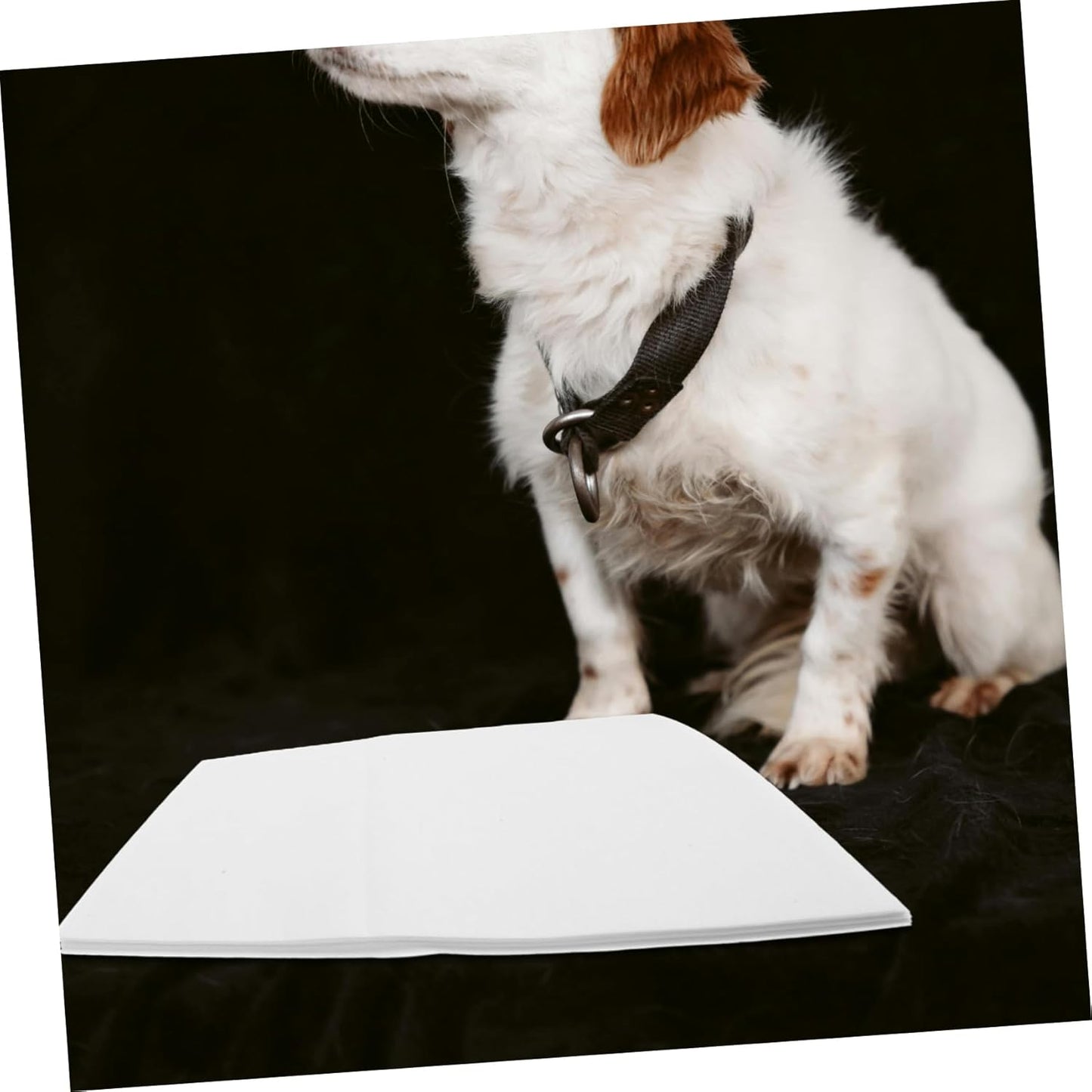 Milisten 50pcs Large Dog Pee Pads Disposable Puppy Training Sheets High Absorbent Nonirritating Pet Urine Pads for Cats and Dogs Skin Friendly Housebreaking