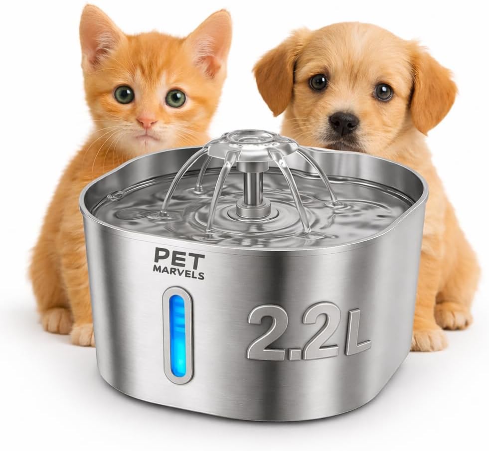 Stainless Steel Cat Water Fountain – 2.2L/74oz Ultra-Quiet Pump, Visible Water Level, Dual Flow Modes – Automatic Pet Water Dispenser for Cats & Small Dogs
