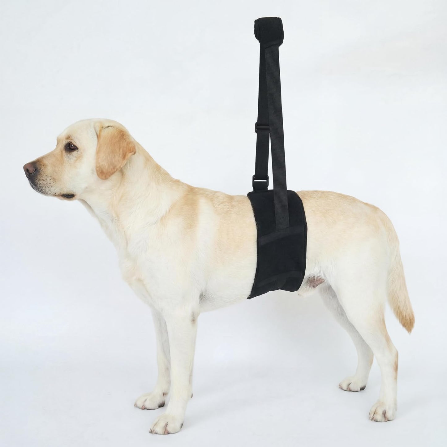 Dog Lift Harness for Rear Legs, Adjustable Dog Support Sling with Soft Padding, Hind Leg & Hip Support for Walking, Stairs & Recovery, Mobility Aid for Senior Dogs (S)