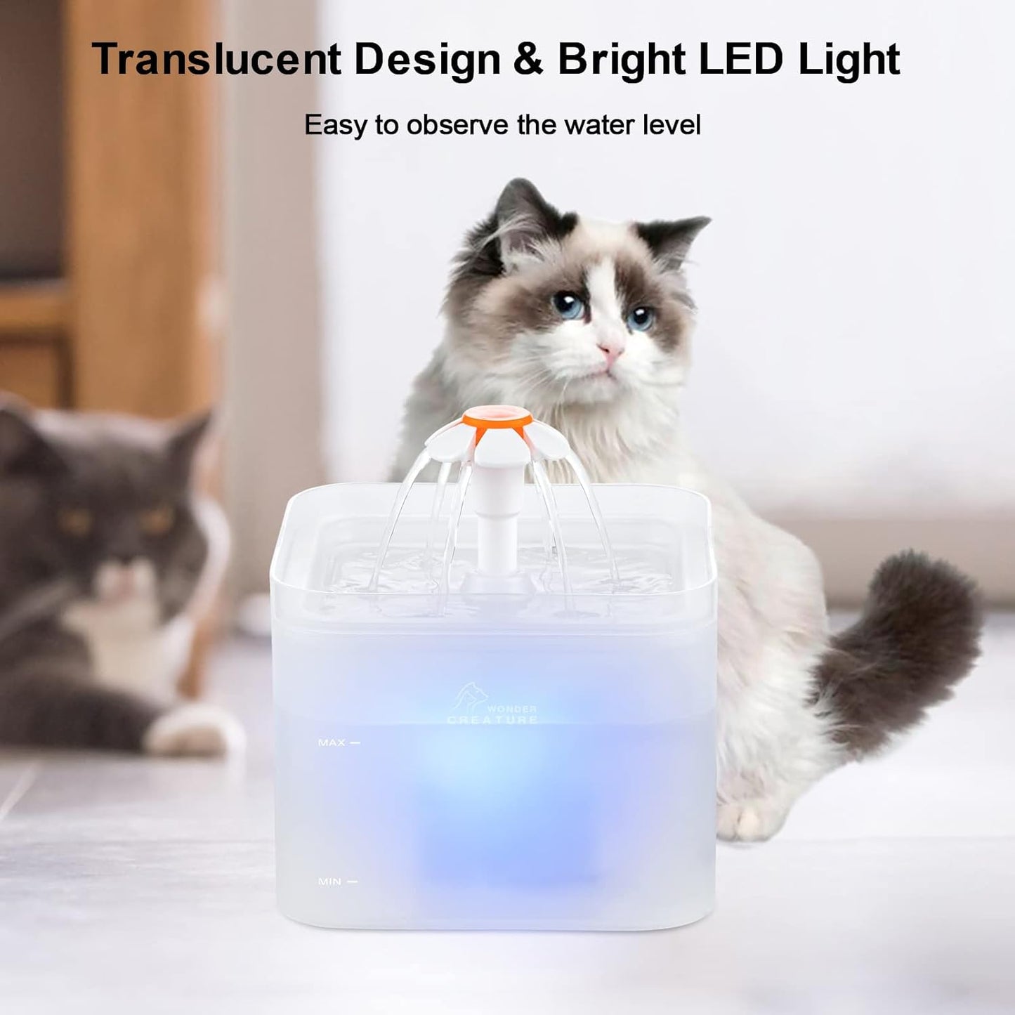 Cat Water Fountain, 67oz/2L Automatic Cat Drinking Fountain, Pet Water Dispenser with LED Light and Filter for Cats and Small Dogs (Clear)