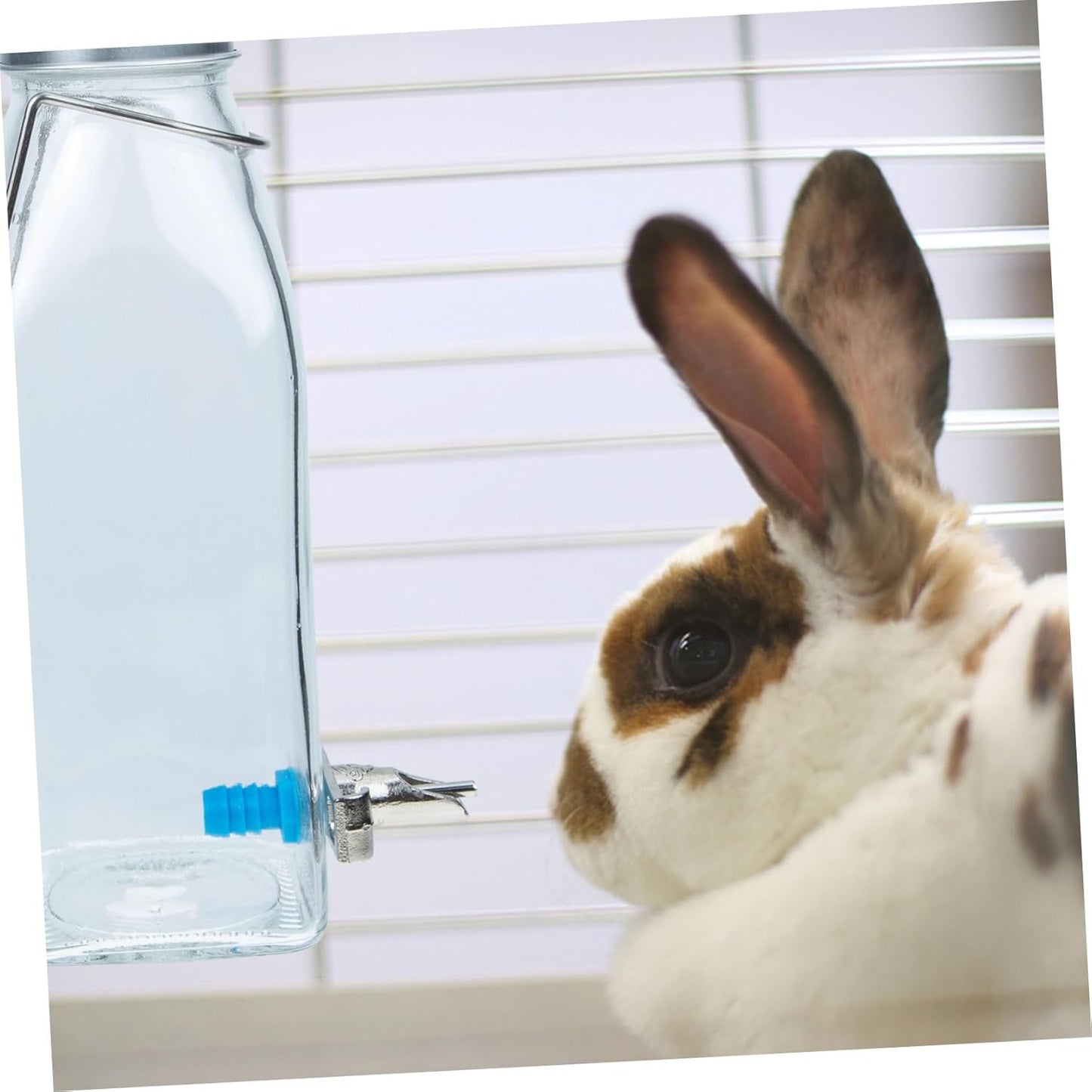 Milisten 350ml PET Rabbit Water Bottle Dispenser – Silent Hanging Glass Water Feeder for Small Animals – for Bunnies Guinea Pigs and Other Pets
