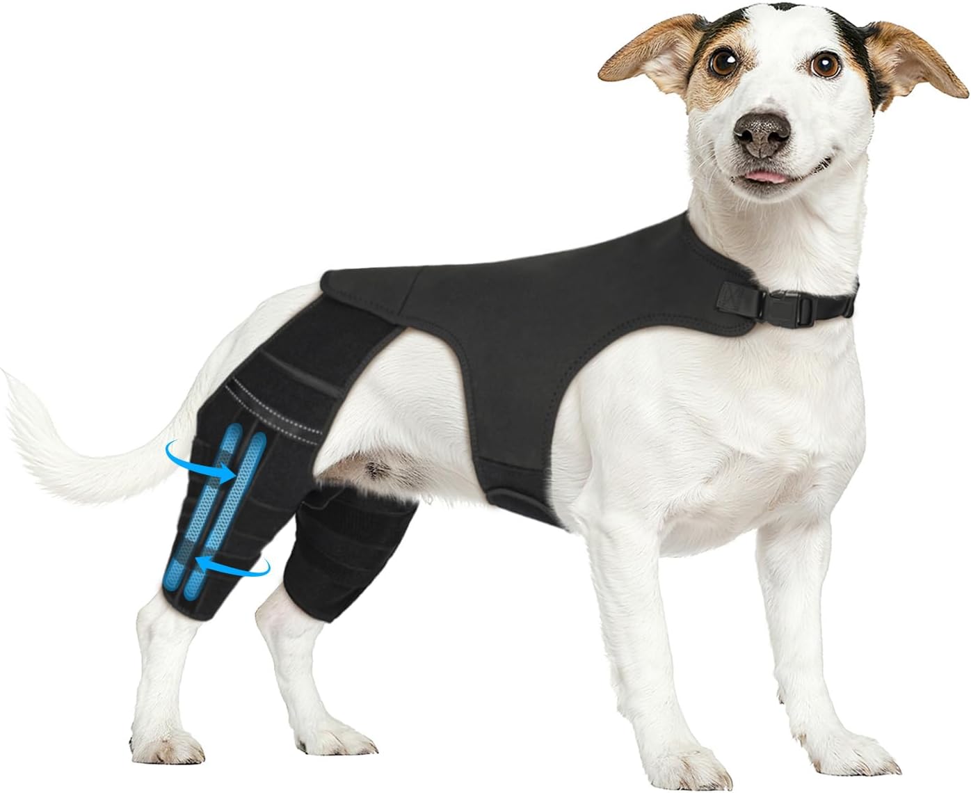 Dog Leg Braces for Back Leg, Adjustable Dog Knee Brace for Torn Acl Hind Leg with 4 Stabilizers, Hip Support to Reduces Pain, Ligament Injuries, Luxating Patella, S