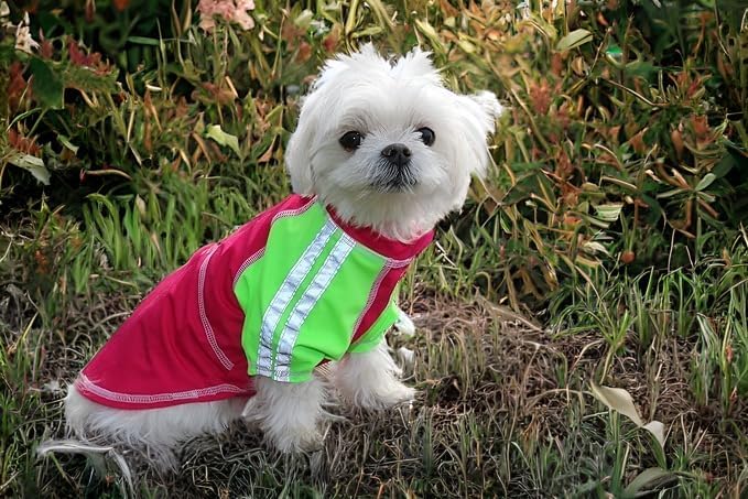 Louie de Coton® Sun Shirt for Dogs | Medium Dog Shirts | Dog Clothes with UV Protection Cooling T-Shirt for Pets | UPF50+ Max Protection from Sunburn | Dog Tshirts for Medium Dogs Made in USA