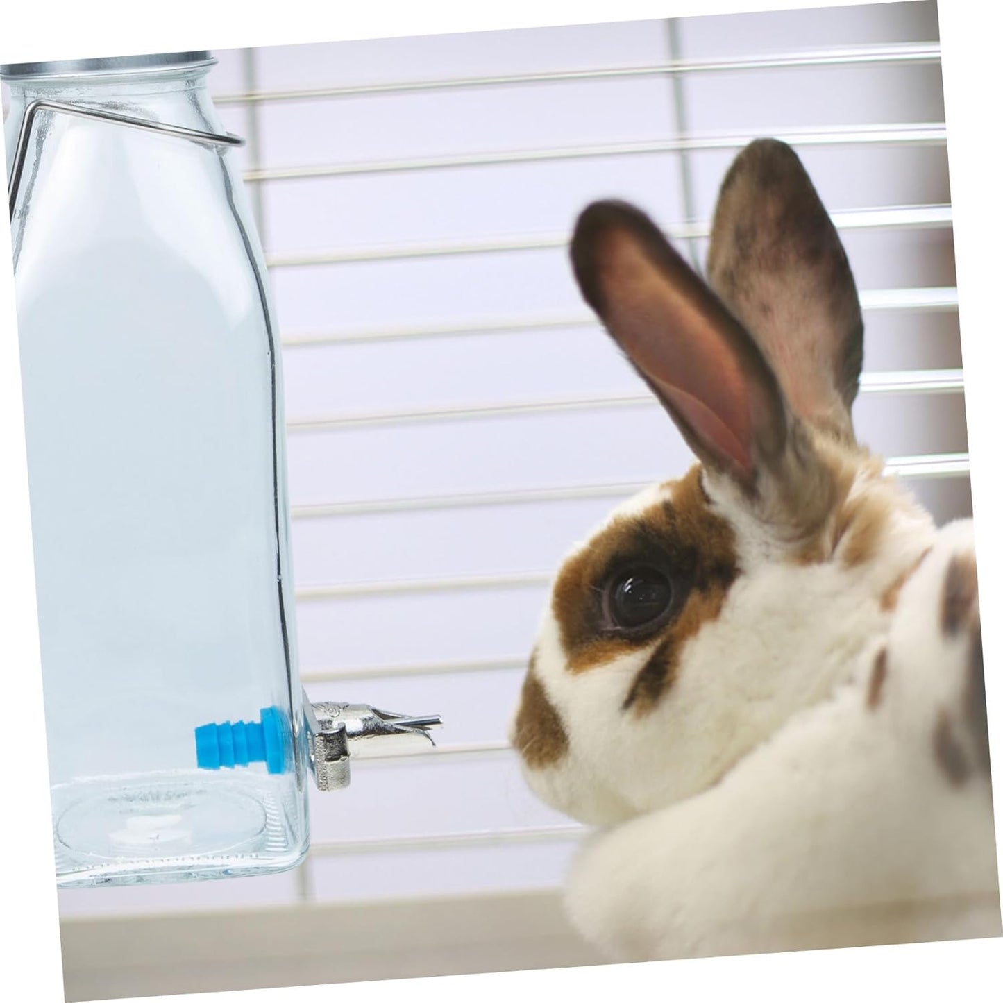 Milisten Small Pet Bunny Water Bottle Vertical Rabbit Waterer Leakproof Cage Dispenser for Hamsters Guinea Pigs Hedgehogs Ferrets Mice with Transparent Design Easy to Install and Use