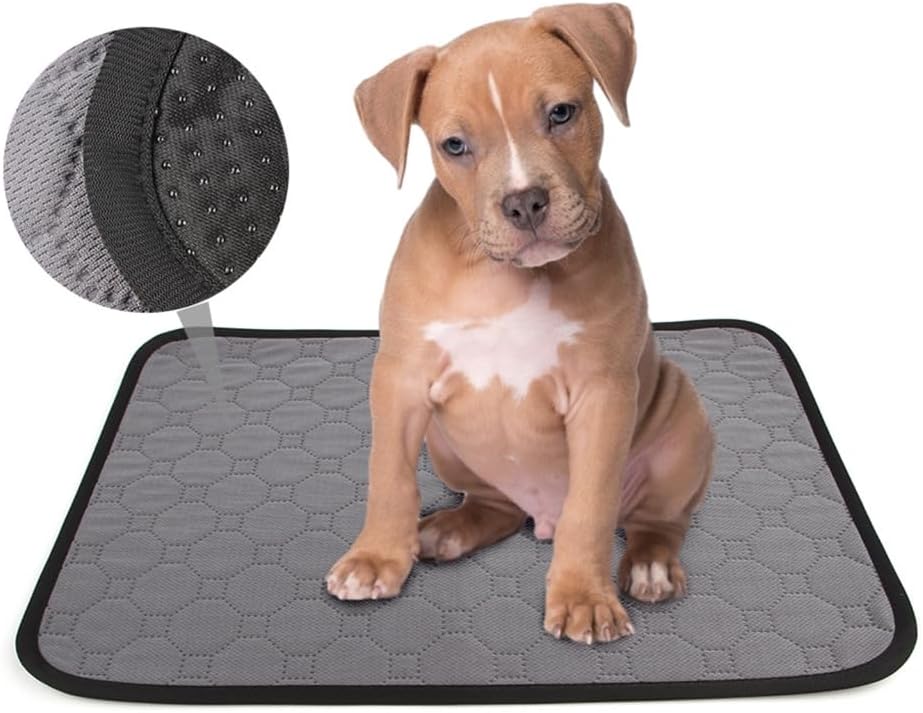 Pet Dog Bed Pad Reusable Dog Pee Pad High Absorbent Diaper Pad Whelping Mats Soft Kennel Pad Training Bedding