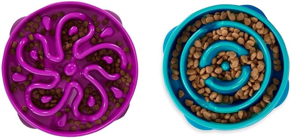 Outward Hound Fun Feeder Slo Bowl Slow Feeder Dog Bowl Bundle, Large/Regular and Medium/Mini, Purple and Turquoise