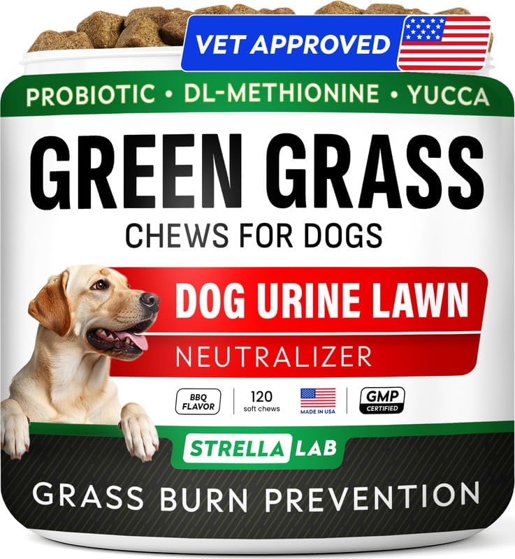 STRELLALAB Dog Pee Grass Chews - Urine Neutralizer for Green Grass Burn Spots - Grass Treatment for Pet Urine - Green Lawn Chews for Dogs with Probiotics - Made in USA (120Ct)