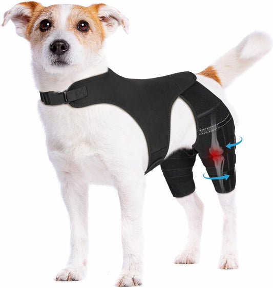 Dog Knee Brace for Torn ACL Hind Leg, Dog Leg Braces for Back Leg Support with 4 Metal Stabilizers Helps with Torn CCL, Luxating Patella, Ligament Injuries, Hip Dysplasia,S
