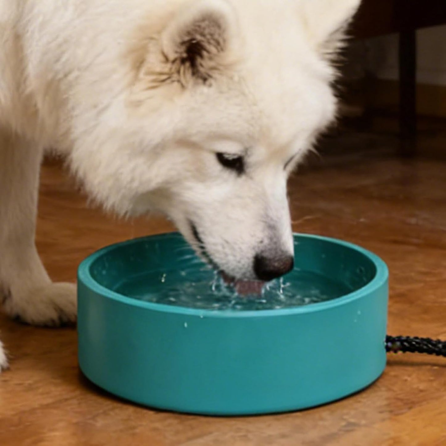 Automatic Pet Waterer, Heated Drinking Bowl, 3.2L Non-Slip Winter Feeder for Puppies Cats, Sturdy Shock-Resistant Design, Indoor Outdoor Pet Supplies, Easy Hydration for Small Medium Large Pets