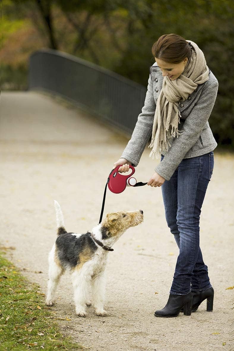 Flexi Multi Box Light Grey - For dog training treats/poop bag dispenser
