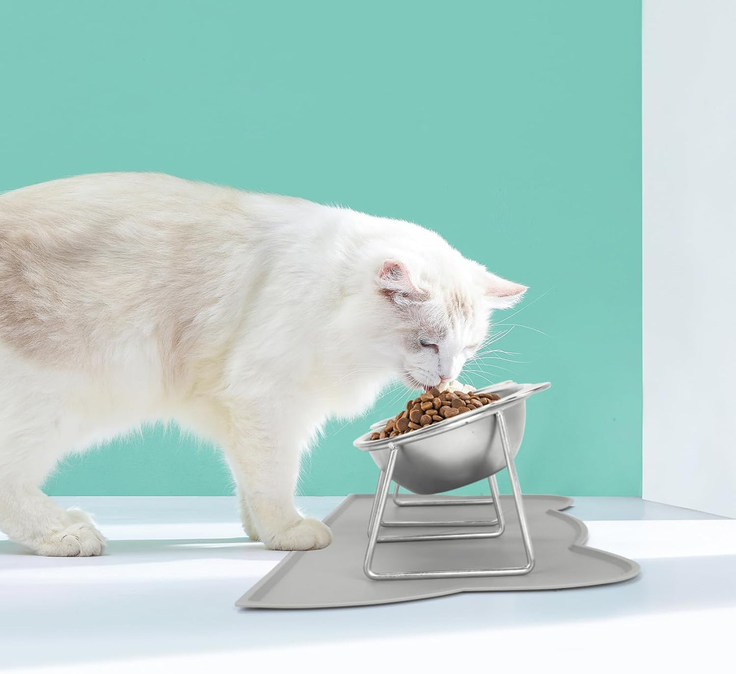 Elevated Cat Bowls, 2 Pack Stainless Steel Cat Food Water Bowls with Non-Slip Placemat, 15° Tilted Stand Anti Vomiting Raised Pet Food Feeding Dishes Plate for Cats Kitten Puppies Dogs Small Animals