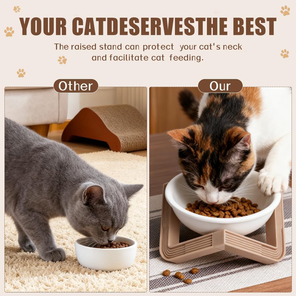 Elevated Cat Bowls for Food and Water, 2Pcs Raised Cat Food Bowls with Stand, 15° Slanted Ceramics Pet Dishes, Anti-Vomit Neck Protection Dog Water Bowls for Cats, Puppies