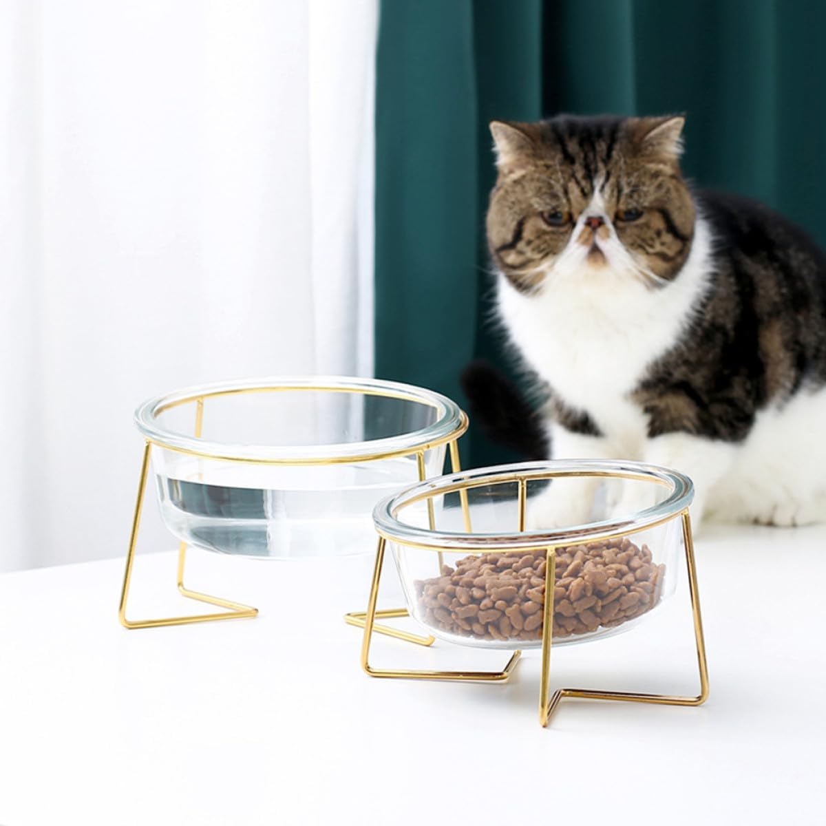 Milisten Glass Pet Feeding Bowl Raised Feeder 800ml Slanted Glass Dog Cat Food Bowl with Metal Stand for Neck Protection Elevated Pet Feeder for Indoor Use Random Style