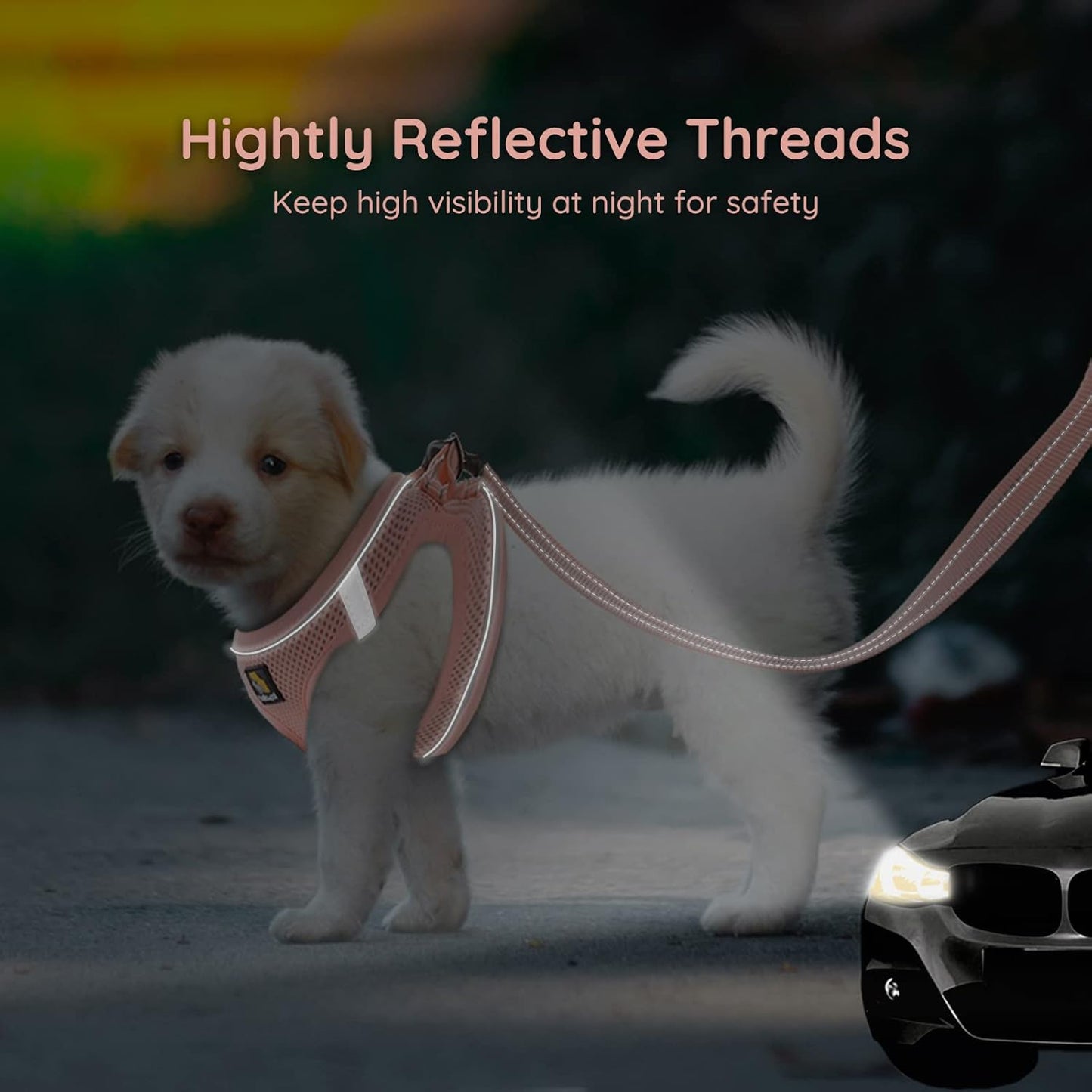 BELLA & PAL Dog Harness for Small Dogs, Medium, Coral Pink, Animal Harness with Leash Set, No Pull, Step in Design, Reflective Strip, Lightweight Mesh, Harness for Extra Small Dogs