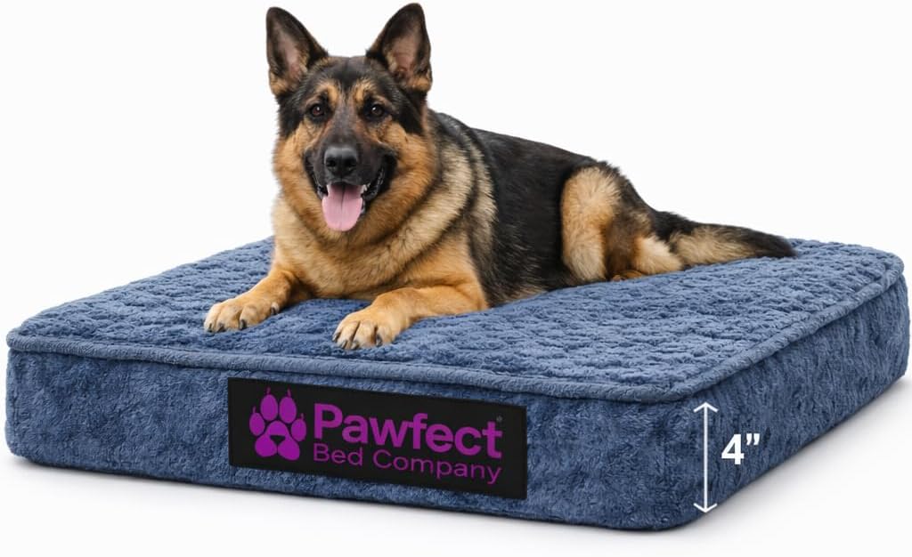Orthopedic Dog Bed, X Large, Gray, Plush Cover, Removable Washable Cover, Water Resistant Bottom, Supportive high Density Foam (42X30x3.5) Size
