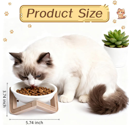 Elevated Cat Bowls for Food and Water, 2Pcs Raised Cat Food Bowls with Stand, 15° Slanted Ceramics Pet Dishes, Anti-Vomit Neck Protection Dog Water Bowls for Cats, Puppies