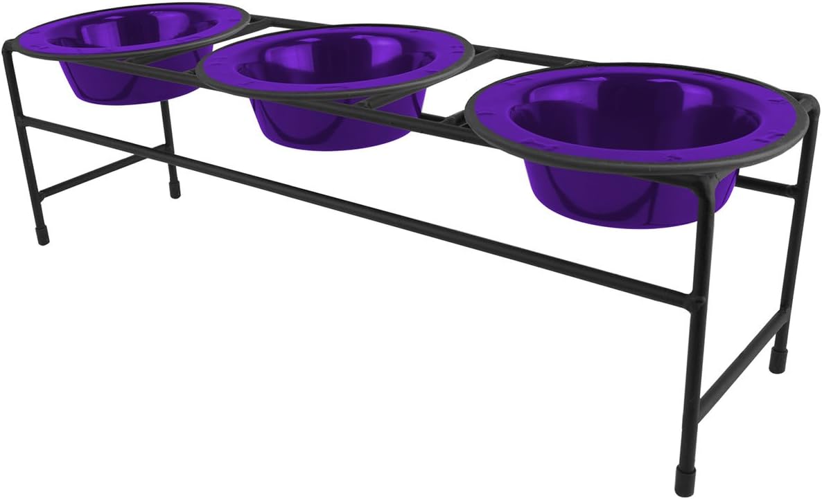 Platinum Pets Triple Diner Feeder with Stainless Steel Cat/Puppy Bowls, .75 cup/6 oz, Electric Purple
