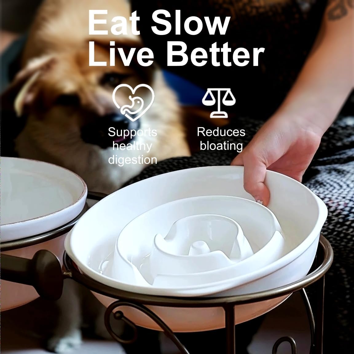 Slow Feeder