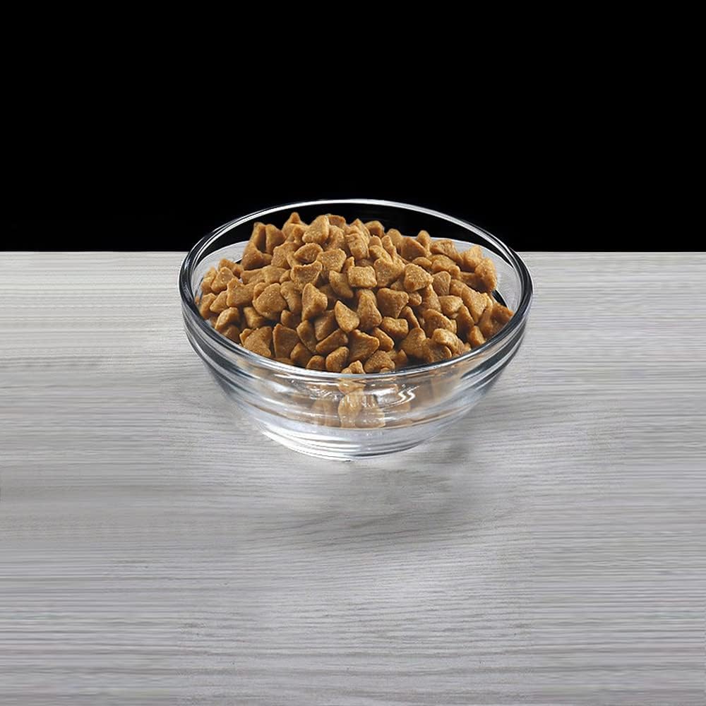 Replacement Glass Bowl for Feoyoho 3.75in Feeder Stand – Small, 13.7 oz / 1.7 Cups, Dishwasher & Microwave Safe