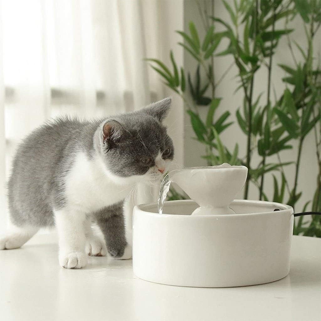 Smart Cute Love Heart Fountain Cat and Dog Small Animal Special Water Dispenser Ultra-Quiet Automatic System Pet Supplies (Color : White)