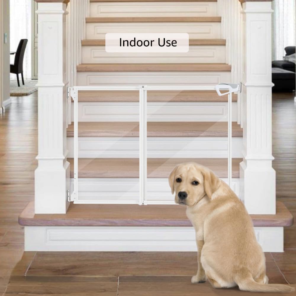 beeNbkks Clear Dog Gate, No Bottom Bar Pet Safety Gate for Doorways Hallways Stairs, Walk Thru Design with One-Hand Dual Swing Door, Indoor and Outdoor Use, Adjustable 28" to 43.5" Wide, 30" Tall