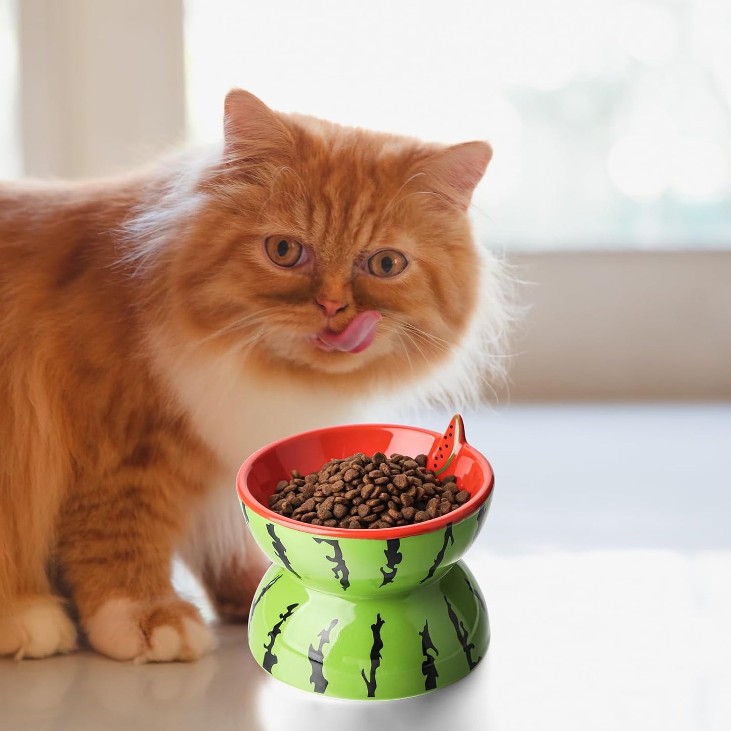 Ceramic Elevated Cat Food Bowl for Indoor Cats Tilted Food Bowls Cute Raised Cat Dish for Flat Faced Cats and Kitten (Watermelon Shaped, Medium)